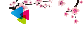 笔迷楼